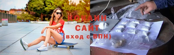 гидра Гусиноозёрск