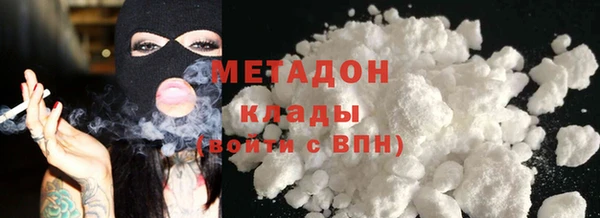 прущие грибы Покровск
