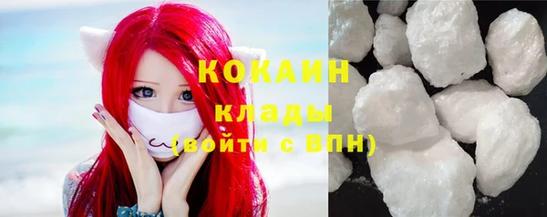 прущие грибы Покровск
