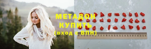 прущие грибы Покровск