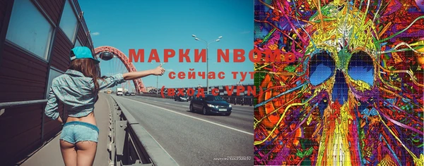 прущие грибы Покровск