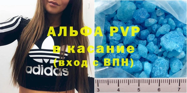 прущие грибы Покровск
