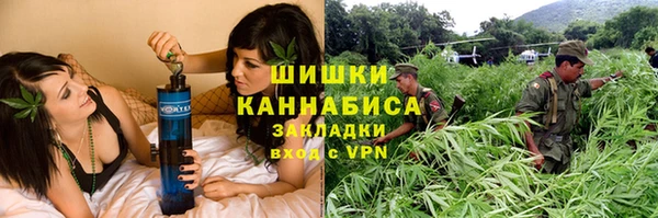 прущие грибы Покровск
