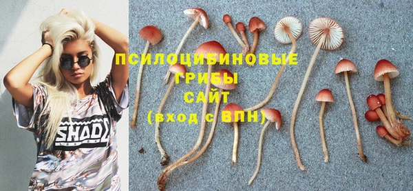 прущие грибы Покровск