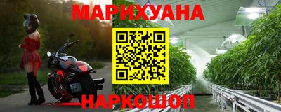 герыч Кингисепп