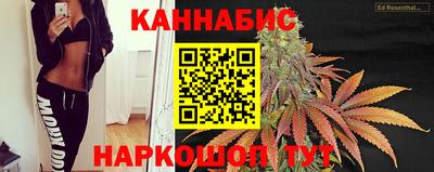 тгк Кимры