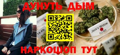 герыч Кингисепп
