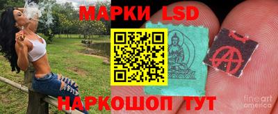 герыч Кингисепп