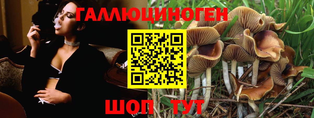 Свободный  купить закладку  Вход с VPN  Галлюциногенные грибы Psilocybine cubensis 