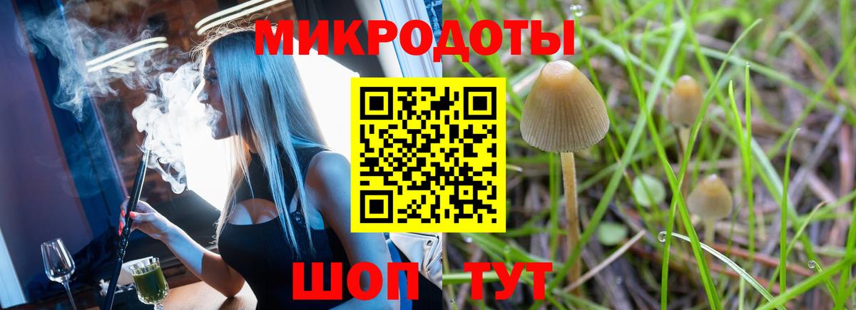 Псилоцибиновые грибы мицелий Свободный